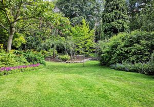 Optimiser l'expérience du jardin à Rohr